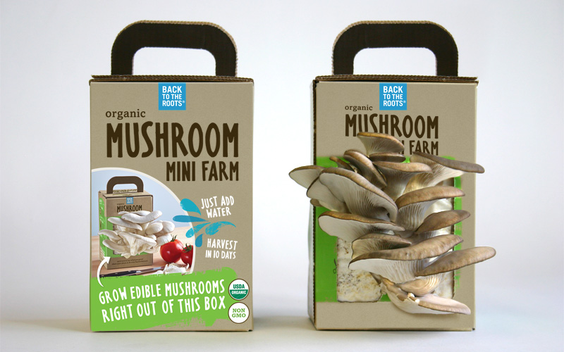 packaging for mushrooms